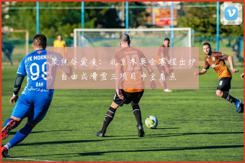 聚焦谷爱凌：北京冬奥会赛程出炉，自由式滑雪三项目冲金看点