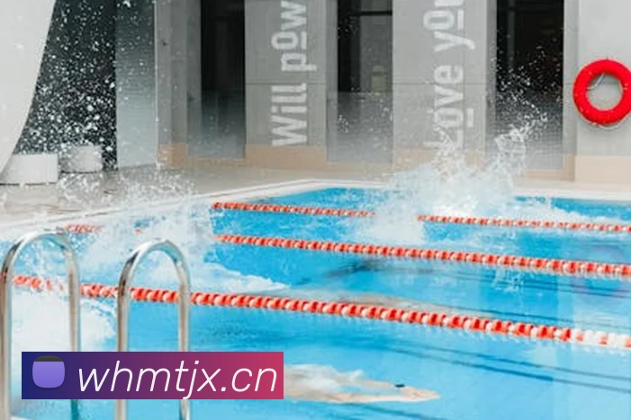 多媒体互动体验